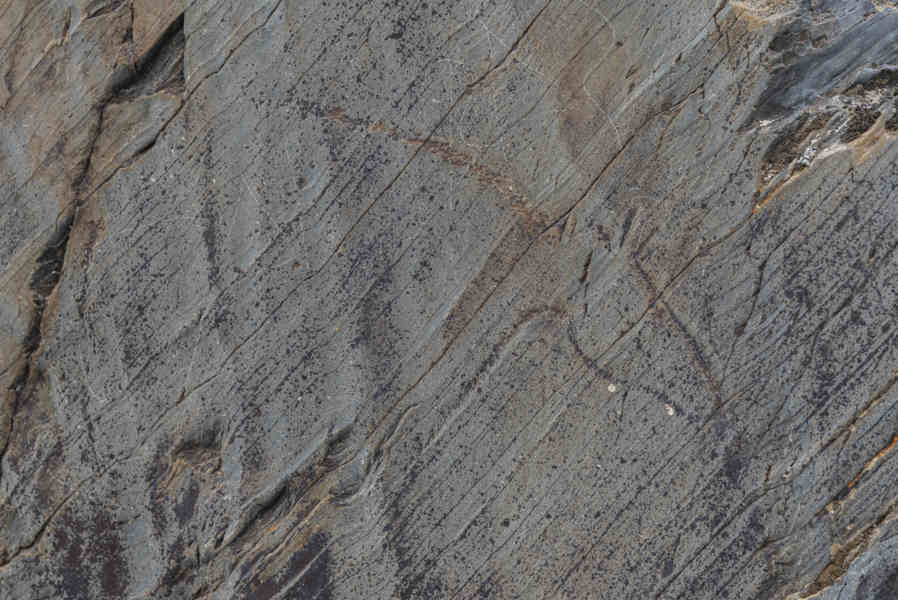 Salamanca 004 - Villar de la Yegua - yacimiento arqueológico de Siega Verde.jpg